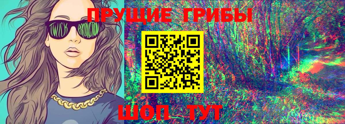 Шарыпово  Галлюциногенные грибы Psilocybine cubensis  Вход с VPN 