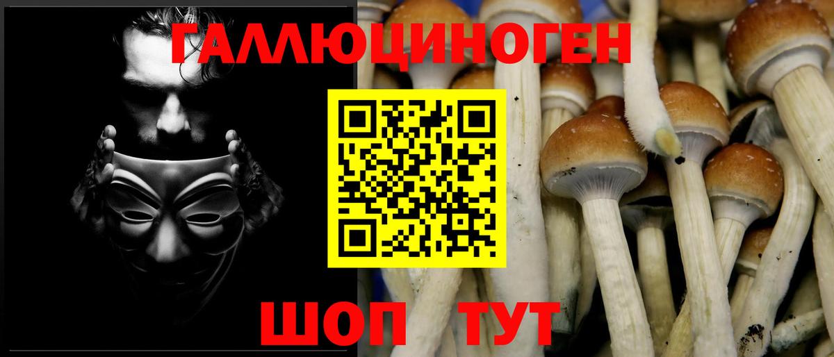 Галлюциногенные грибы Magic Shrooms Шарыпово